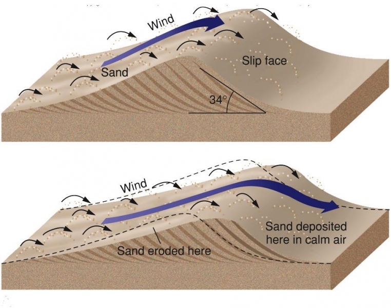 Schematic of eolian Processes forming Sand Dunes