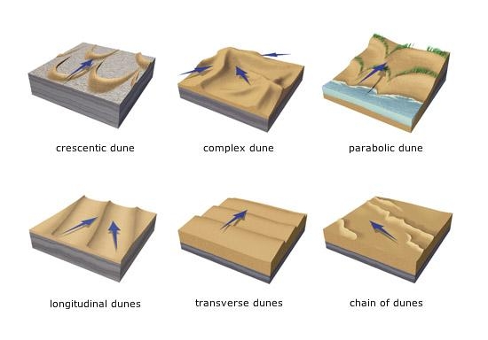 Dune Types Categories