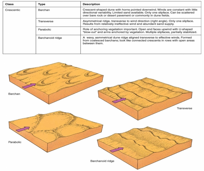 Dune Types Overview