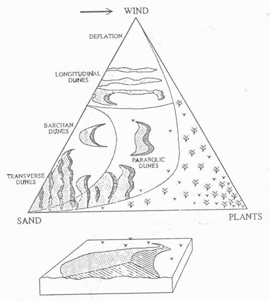 DesertsTriangleClassification