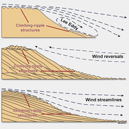 Development of a Dune