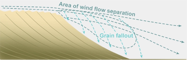 Development of a Dune through wind