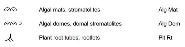 Organogenic Structure Symbols