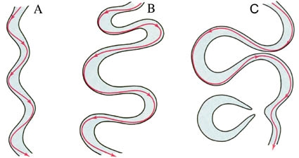 Meander Growth Patterns