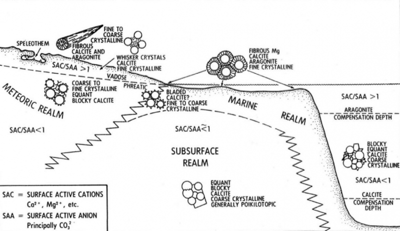 Anticipated Growth Habitats of pore-fill Calcite