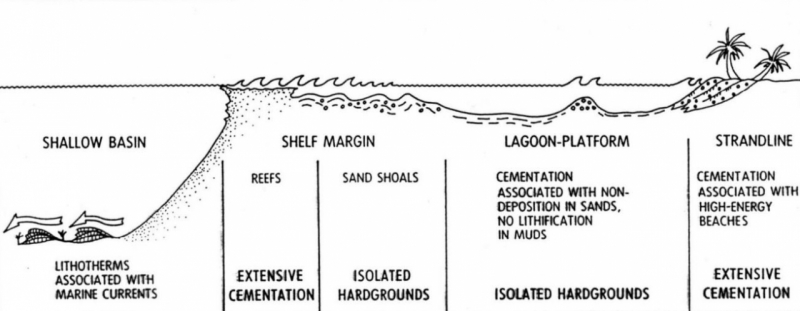 Diagenetic processes in the shallow Marine Environments