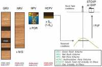 HCIIP Calculation Explained