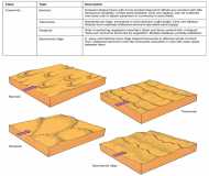 Dune Types Overview