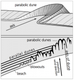 Parabolic dunes Chematic