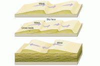 Cross Stratification