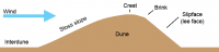 Transverse dune