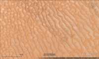 Eolian Sand Dunes Saudi Arabia