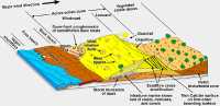 Carbonate Eolian Dune Systems Block-Diagram