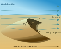 Dune and wind Direction