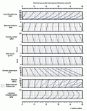 Environmental-Correction-Compensated-Neutron-Tool