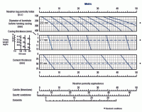 Cased-Hole-Environmental-Correction-Compensated-Neutron-Tool