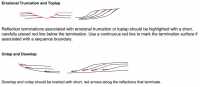 Seismic Reflection Terminations