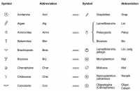 Specific Fossils Symbols A