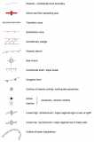 Plate-tectonic Symbols