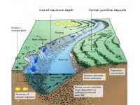 How meanders migrate