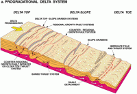 Animated Delta with growth faults