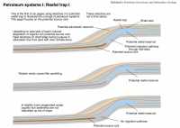 Petroleum System in Carbonate Shelf