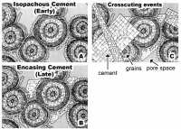 Timing of diagenetic events by petrographic relationships.