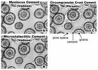 Cement Distribution patterns as a function of diagenetic environment