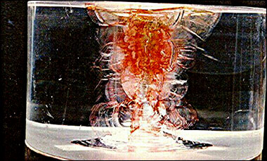 Fig. 2 Shock-Induced-Hydrolically-Driven Fractures in Lucite.